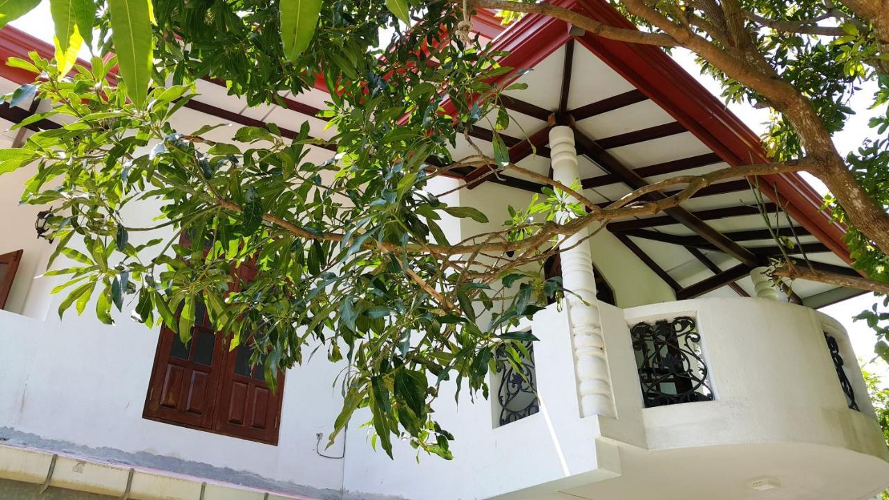 New Chili Lodge Mirissa Luaran gambar