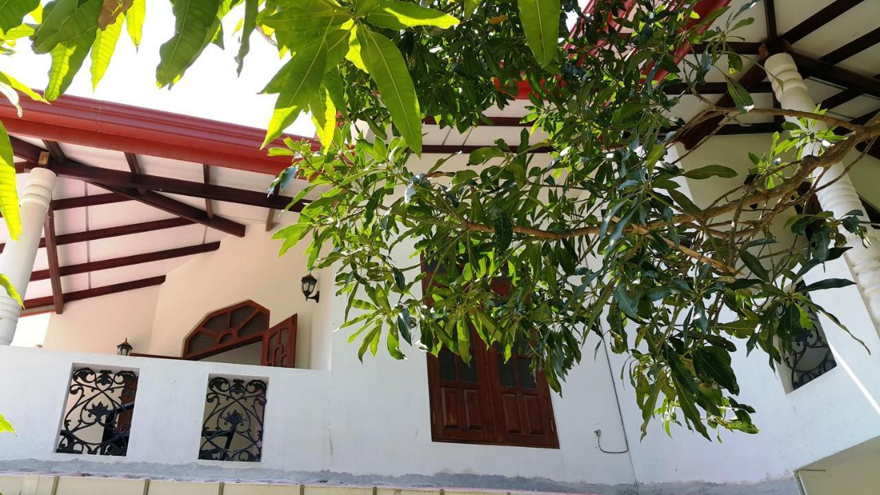 New Chili Lodge Mirissa Luaran gambar